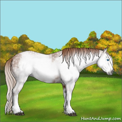 Horse Color:Gray Chestnut Splash Frame  and Gray Chestnut Splash Frame 