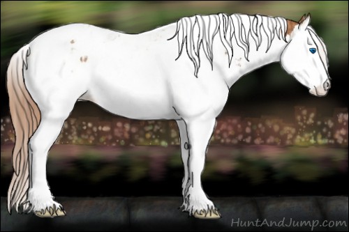 Horse Color:Chestnut Splash Tobiano  and Chestnut Splash Tobiano 