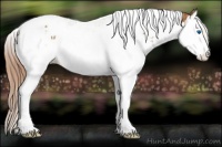 Horse Color:Chestnut Splash Tobiano  and Chestnut Splash Tobiano 