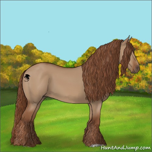 Horse Color:Red Dun 