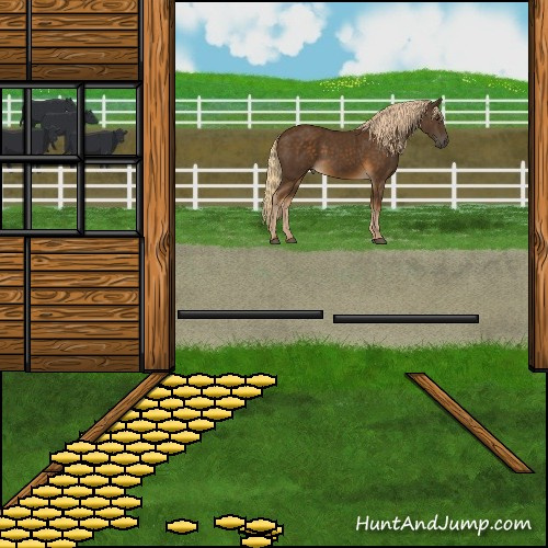 Horse Color:Chocolate Palomino 