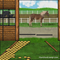 Horse Color:Chocolate Palomino 