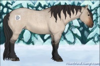 Horse Color:Bay Roan Dun 
