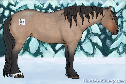 Horse Color:Bay Roan Dun 
