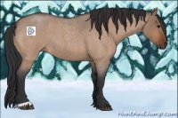 Horse Color:Bay Roan Dun 