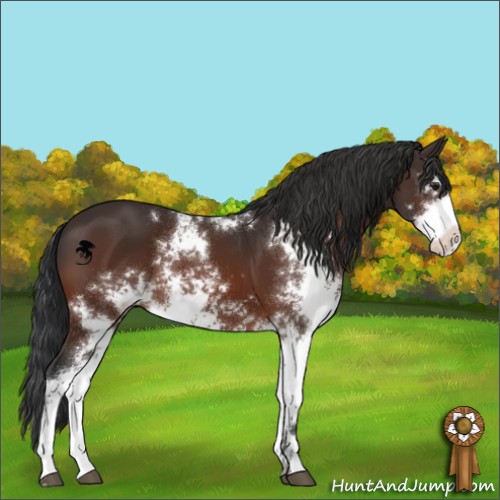 Horse Color:Brown Sabino