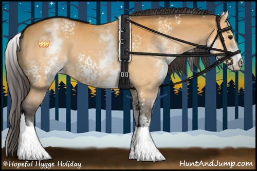 Horse Color:White Spotted Buckskin 