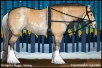 Horse Color:White Spotted Buckskin 