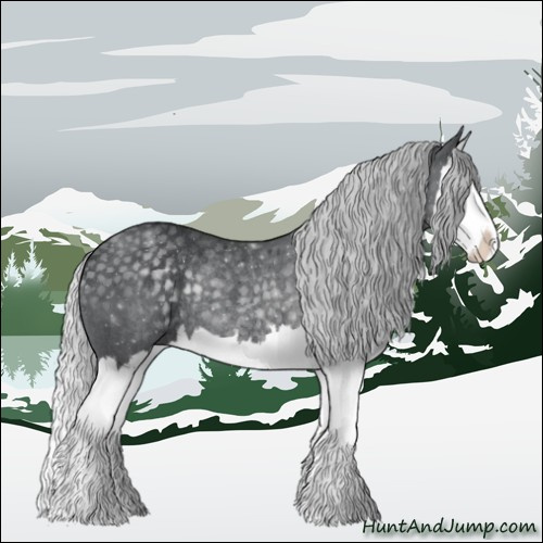 Horse Color:Silver Black Chinchilla Splash Rabicano 