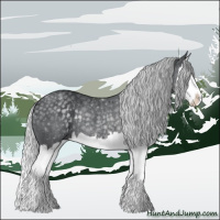 Horse Color:Silver Black Chinchilla Splash Rabicano