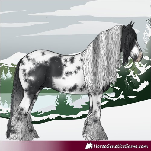 Horse Color:Black Chinchilla Tobiano Frame 