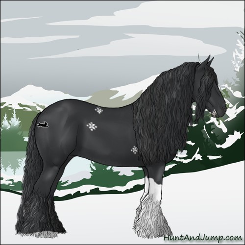 Horse Color:Black Tobiano 