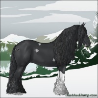 Horse Color:Black Tobiano 
