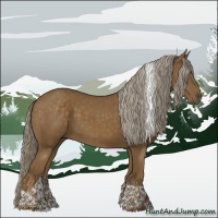 Horse Color:Chocolate Palomino Tobiano 