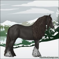 Horse Color:White Spotted Liver Chestnut Tobiano 