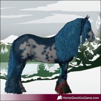 Horse Color:ERROR: UNKNOWN ANOMALY