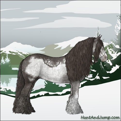 Horse Color:Smoky Black Frame 
