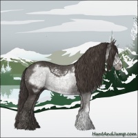 Horse Color:Smoky Black Frame