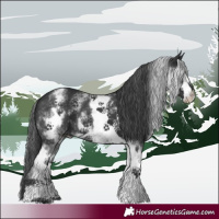 Horse Color:White Spotted Black 