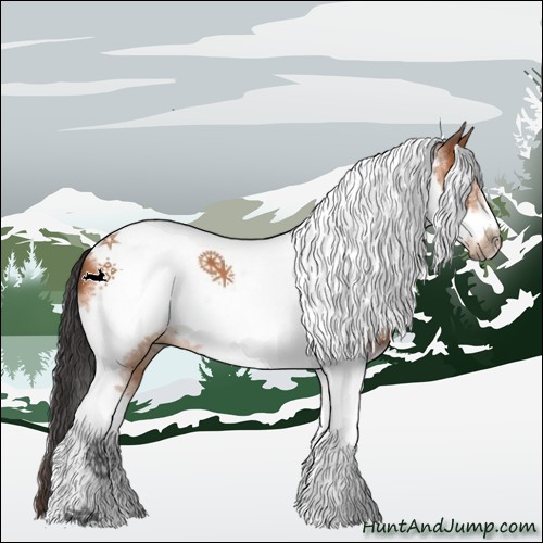 Horse Color:Bay Tobiano Frame