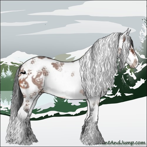 Horse Color:White Spotted Bay Splash 