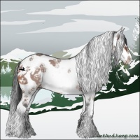 Horse Color:White Spotted Bay Splash 