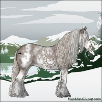 Horse Color:White Spotted Silver Black 