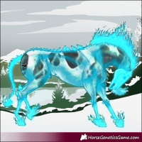 Horse Color:Thunderstruck Black Tobiano 