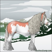 Horse Color:Watercolor Silver Buckskin Splash Frame 