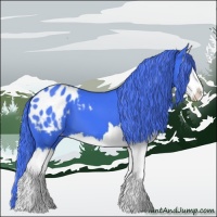 Horse Color:Watercolor Black Splash Appaloosa 