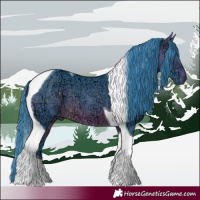 Horse Color:Watercolor Buckskin Ice Tobiano