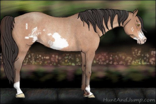 Horse Color:Sable Champagne Roan Frame Rabicano 