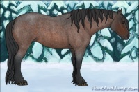 Horse Color:Brown Roan 