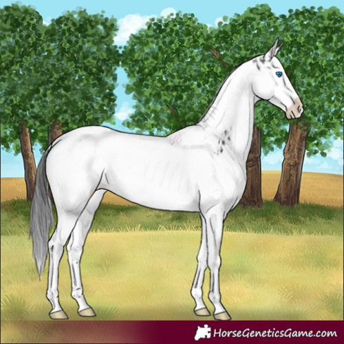 Horse Color:Black Splash Tobiano  and Black Splash Tobiano 