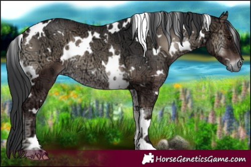 Horse Color:White Spotted Blue Onyx Ice 