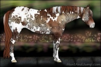 Horse Color:White Spotted Red Onyx Ice Appaloosa 