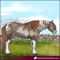 Horse Color:Red Onyx Ice Pearl Tobiano 