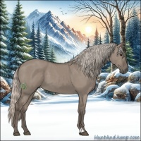 Horse Color:Silver Grullo 