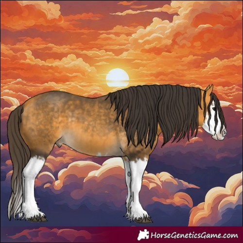 Horse Color:Buckskin Splash and Buckskin Splash Rabicano