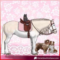 Horse Color:Perlino Splash and Perlino Splash