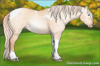 Horse Color:Gray Cremello Dun Tobiano Rabicano