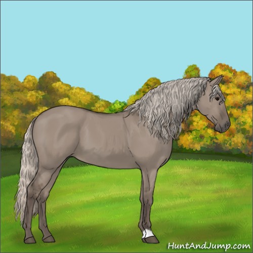 Horse Color:Silver Grullo 