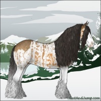 Horse Color:Buckskin Splash  and Buckskin Splash 