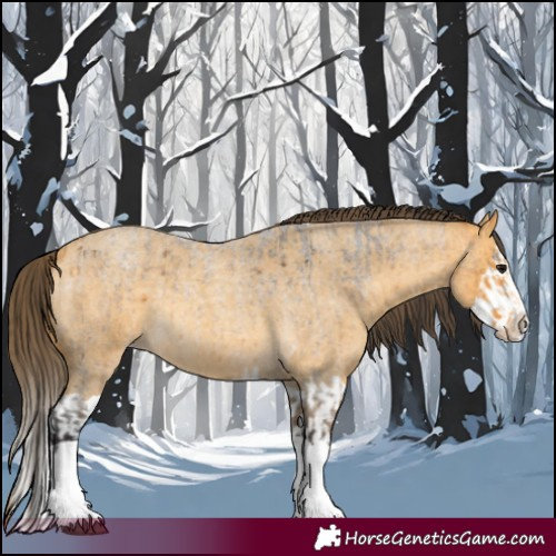 Horse Color:Buckskin Roan Splash and Amber Cream Champagne Roan Splash