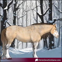 Horse Color:Buckskin Roan Splash  and Amber Cream Champagne Roan Splash 