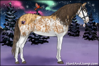 Horse Color:Buckskin Splash and Amber Cream Champagne Splash