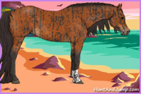 Horse Color:Smoky Black  and Buckskin 