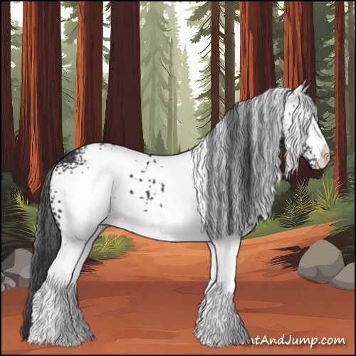 Horse Color:White Spotted Black 