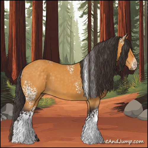 Horse Color:White Spotted Buckskin 