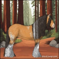 Horse Color:White Spotted Buckskin